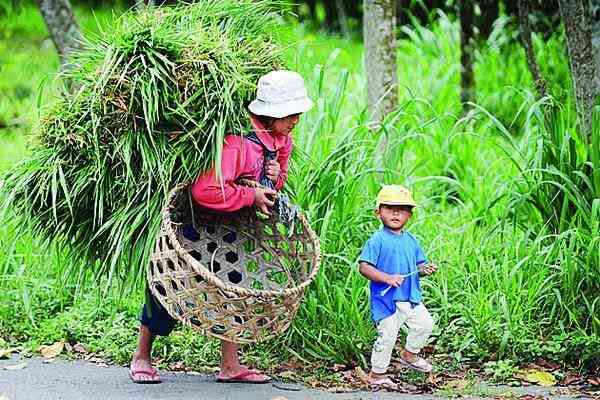 Istri Yang Selalu Mendahulukan Beras Daripada Paras